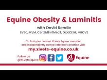 Embedded thumbnail for Understanding Equine Obesity &amp;amp; Laminitis with David Rendle