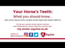Embedded thumbnail for Your Horse&amp;#039;s Teeth: What you should know . . with Chris Pearce and Nicole du Toit 