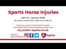 Embedded thumbnail for Sports Horse Injuries with Dr Jessica Kidd